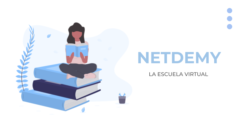 Netdemy